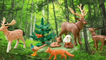 Visualización interna @psicdv